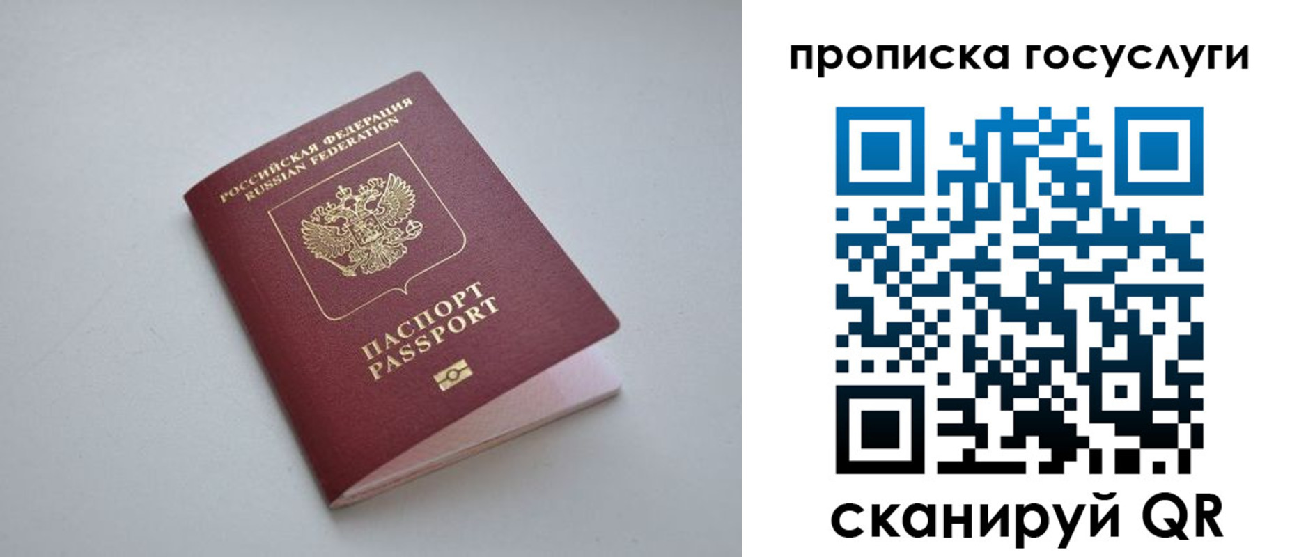 прописка гарантия в Московской области